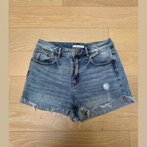 PacSun Mom Shorts (Blue) - Size 29